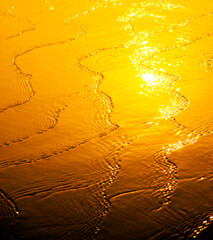 Wave on the beach at sunset