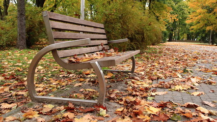 Empty bench in autumn in the park, covered with leaves - obrazy, fototapety, plakaty