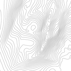 The stylized height of the topographic contour in lines and contours. Black on White colors. The concept of a conditional geography scheme and the terrain path. Vector illustration.