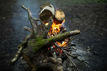 Fire in forest. Flame is yellow. Burning of dry branches.