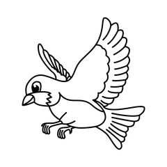 Cute bird cartoon characters vector illustration. For kids coloring book.