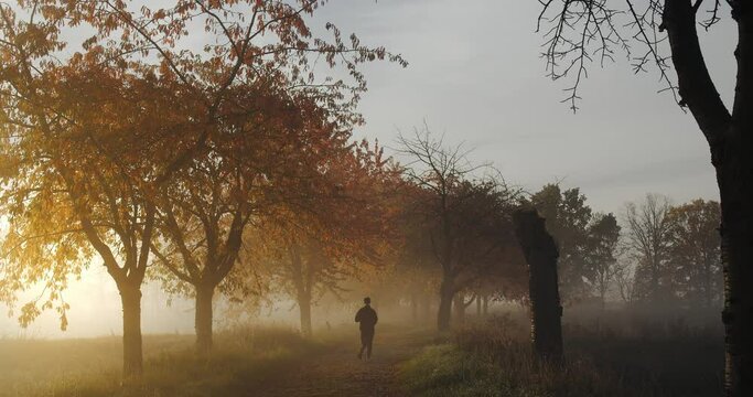 Ein Mann joggt an einem neblichen Herbstmorgen im Park.