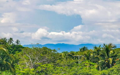 Fototapeta na wymiar Beautiful nature with palm trees and mountains Puerto Escondido Mexico.