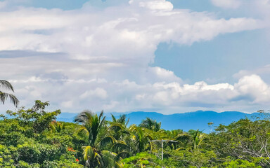 Fototapeta na wymiar Beautiful nature with palm trees and mountains Puerto Escondido Mexico.