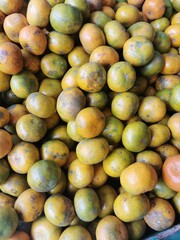 close up of fruit orange
