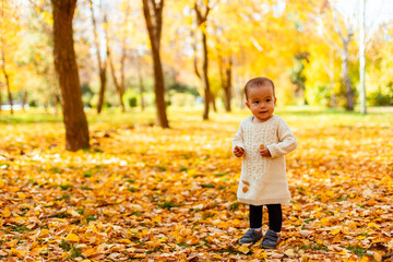 Toddler standing in yellow leaves in autumn park