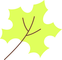 Maple yellow leaf with brown vein