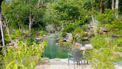 Fototapeta premium Pond with fish among tropical green trees and greenery