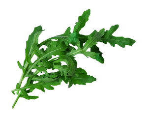 Arugula leaves isolated on white background, top view