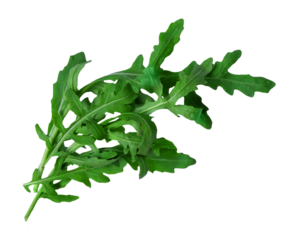 Arugula leaves isolated on white background, top view