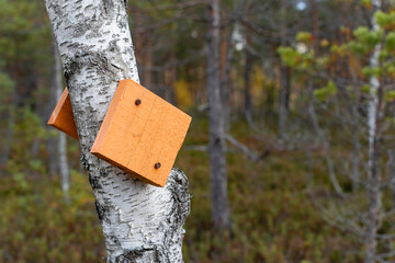 Orange wooden hiking trail marker nailed to the birch tree in Teijo National Park, Salo, Finland