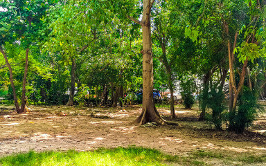 Green city park playground bench slide swing Playa del Carmen.