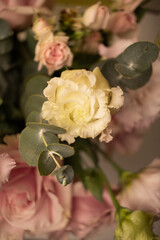 
white rose closeup