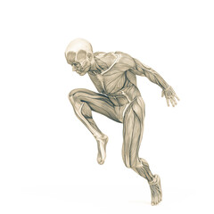 average man muscle maps is doing a parkour pose number fourteen