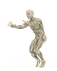average man muscle maps is doing a parkour pose number ten