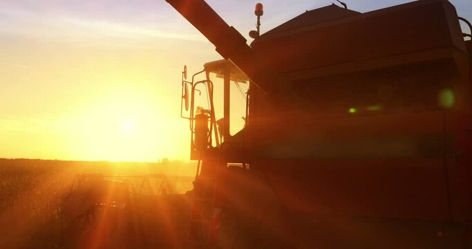 Combine harvester working on soybean field at sunset, beautiful sunny autumn day, slow motion