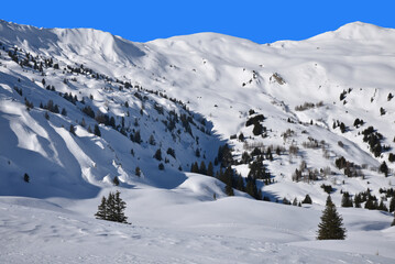 Fototapeta na wymiar Montagnes enneigées à Lenk dans l'Oberland bernois. Suisse