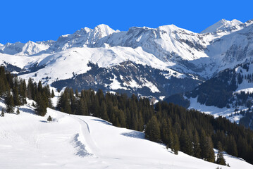 Fototapeta na wymiar L'Oberland bernois en hiver. Suisse