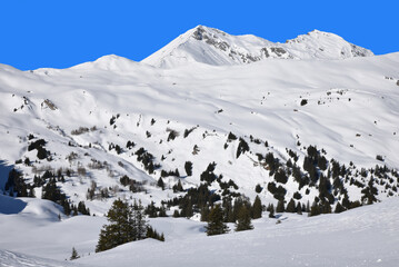 Pentes enneigées à Lenk dans l'Oberland bernois. Suisse