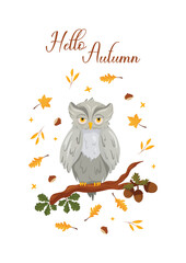 Autumn postcard with owl on oak branch, acorns and green and yellow leaves