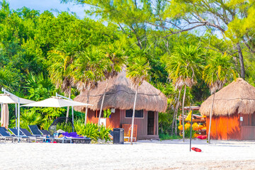 Naklejka na ściany i meble Palms parasols sun loungers beach resort Playa del Carmen Mexico.