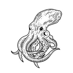 Octopus. Black vintage illustration. Isolated on white background.