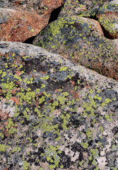 684-92 Lichen Rocks