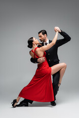 Full length of elegant couple dancing tango on grey background - obrazy, fototapety, plakaty