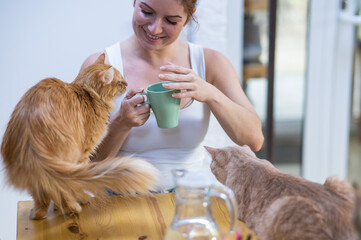 Caucasian woman with cats in a cat cafe.