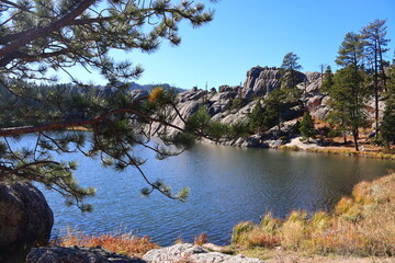 reflection of trees in the lake