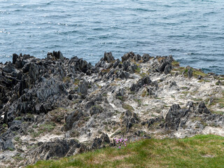 Rocks and grass on the shore on a sunny day. Seaside landscape. Picturesque coast. Black rock formation and green grass near body of water.