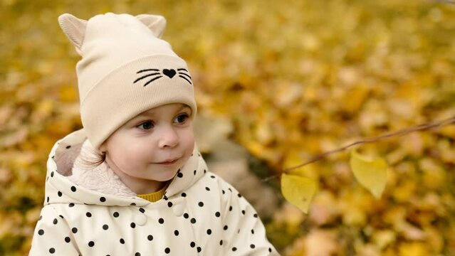 A little girl child in a hat tears off the last October leaves on a branch against the background of an autumn forest