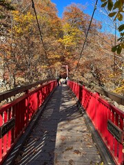 Fototapeta premium 定山渓二見吊橋