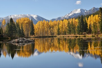 Fototapeta premium Autumn reflection on a mountain lake