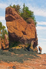 Dramatic Sea Stack at Low Tide