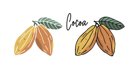 Hand drawn cocoa beans flat illustration in two versions