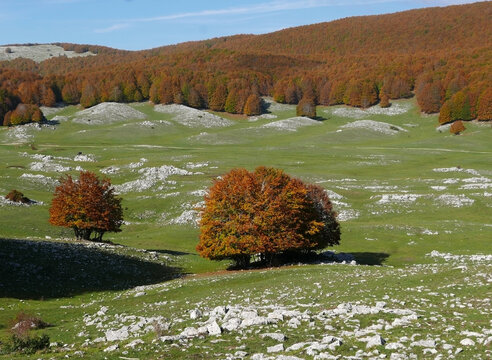 scenici colori autunnali della natura sui monti simbruini in Italia