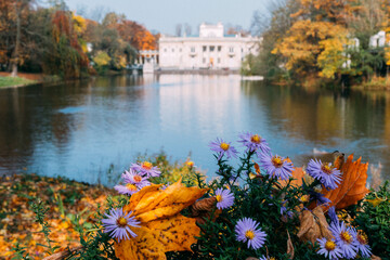 Autumn in the Park, a castle near the water