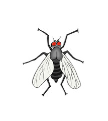 Fly insect on a white background with a shadow below. Colourful cartoon style vector illustration.
