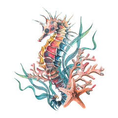 A seahorse with corals, algae and a starfish. Watercolor illustration. Composition from the collection of JELLYFISH AND SEAHORSE. For decoration and design of summer, beach, souvenirs, menus, posters. - obrazy, fototapety, plakaty