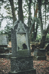 Obraz premium Abandoned overgrown old cemetery in the forest
