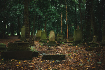 Abandoned overgrown old cemetery in the forest