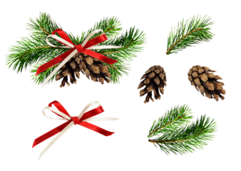 Christmas decoration with pine twigs, cones and ribbon bow isolated and set of details
