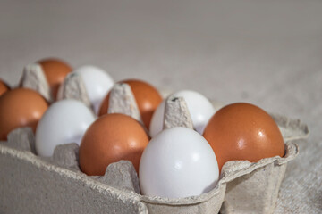 Chicken colorful eggs in a tray.