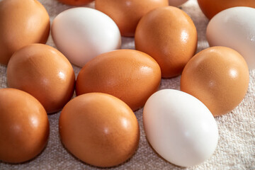 Chicken colorful eggs on the table.