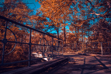 Bridge in the autumn forest landscape