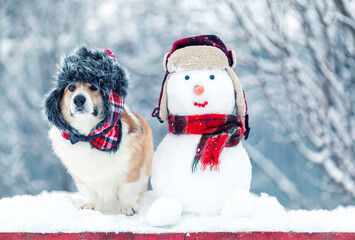 cute corgi dog puppy in a warm hat is sitting in a winter christmas park next to a snowman