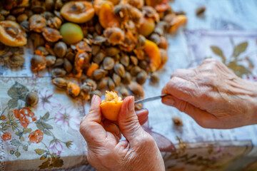 Elderly women's hands cut apricots for jam. Preparation of apricot blanks