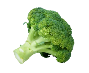 Fototapete Broccoli isolated on white background with PNG. © Phuangphet
