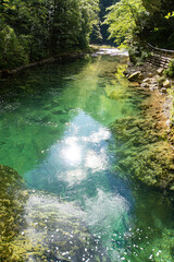 Vintgar Gorge in Slovenia